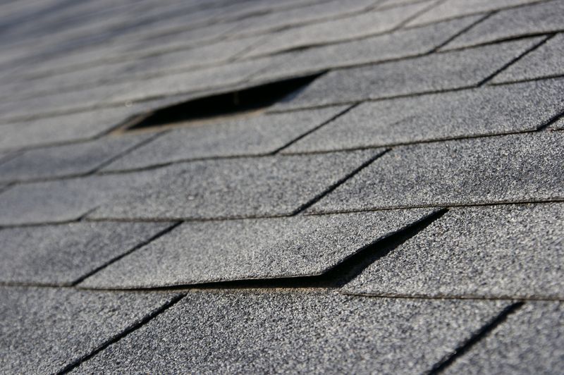 Precision Shingle Replacement