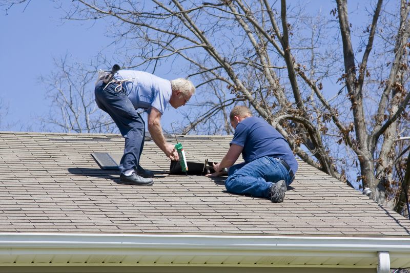 Roof Repair and Restoration